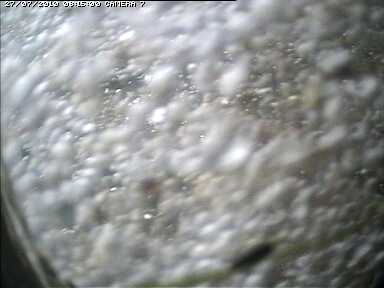 cam007.jpg